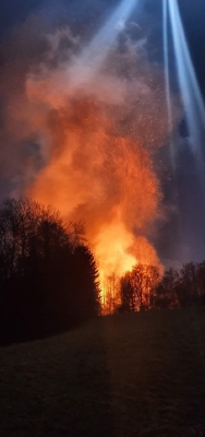 thumbnail_image11