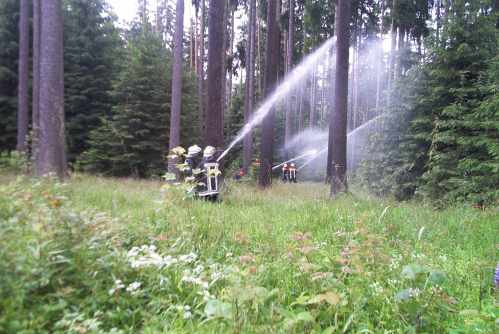 Waldbrandübung 12.jpg