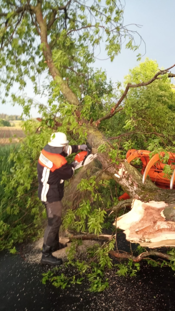 Baum20.05.22.2
