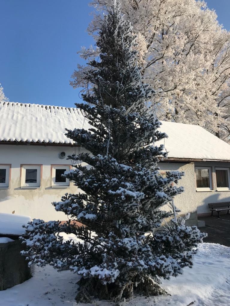 Christbaum27.11.22.3
